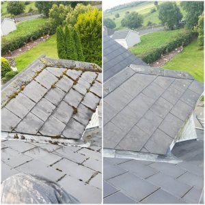 roof-cleaning