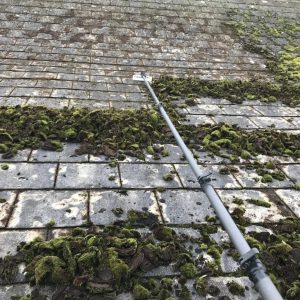 Roof Moss Removal