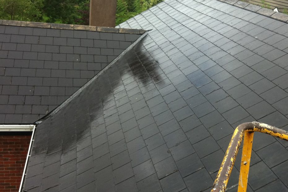 Roof Cleaning In County Clare