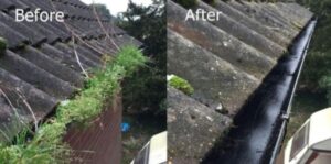 Gutter-Cleaning3.jpeg