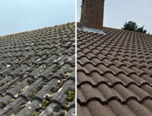 roof-cln.jpg