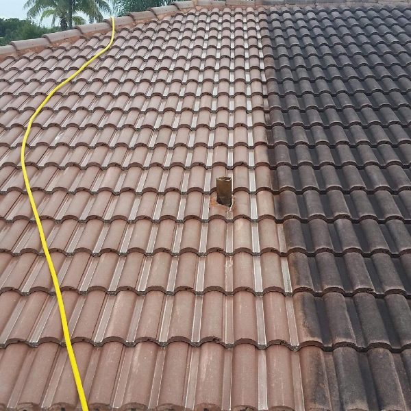 roof-cleaning-1.jpeg